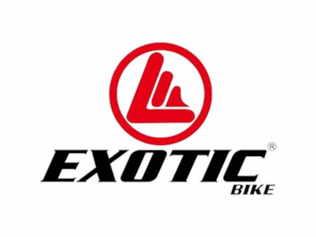 Exotic logo
